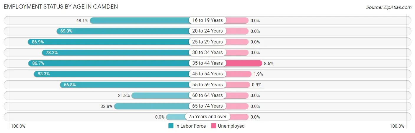 Employment Status by Age in Camden