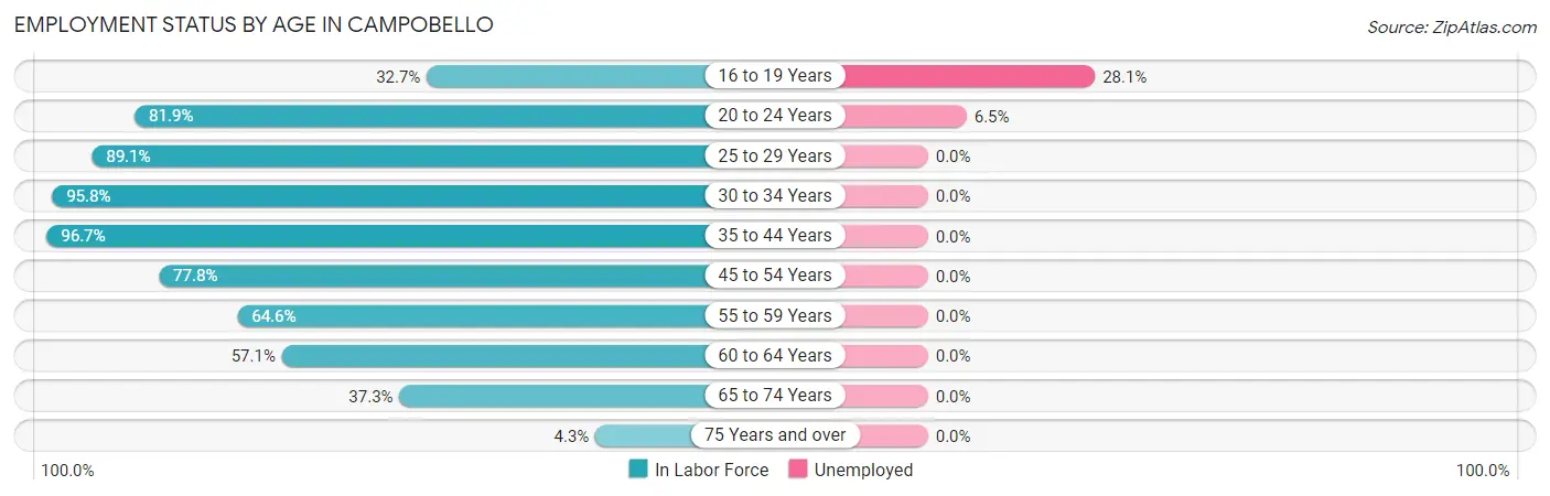 Employment Status by Age in Campobello