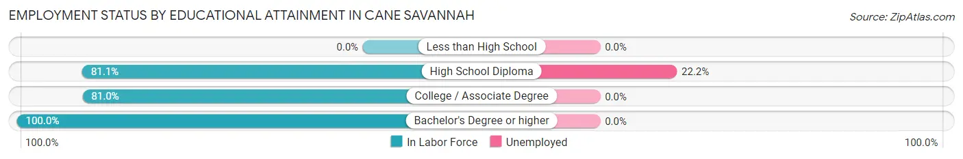 Employment Status by Educational Attainment in Cane Savannah