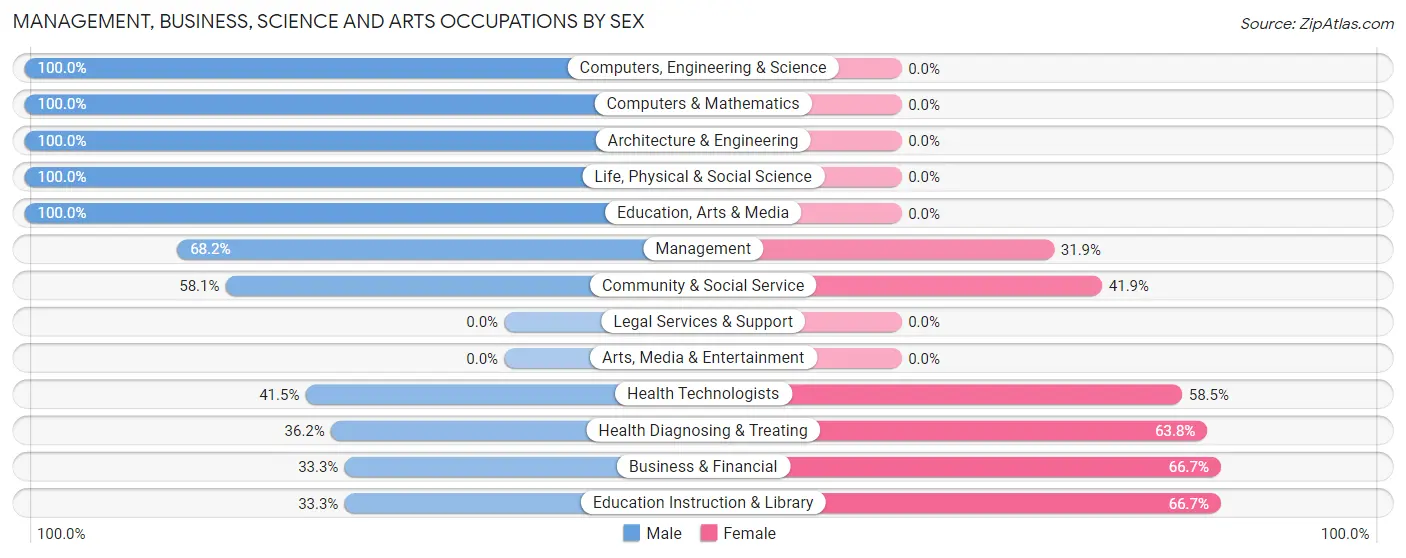Management, Business, Science and Arts Occupations by Sex in Capitol View