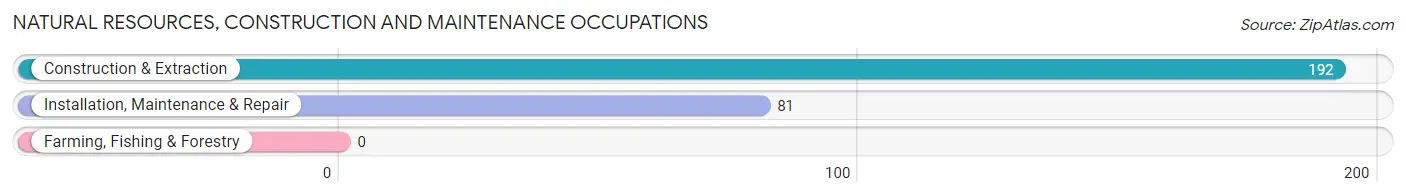 Natural Resources, Construction and Maintenance Occupations in Centerville