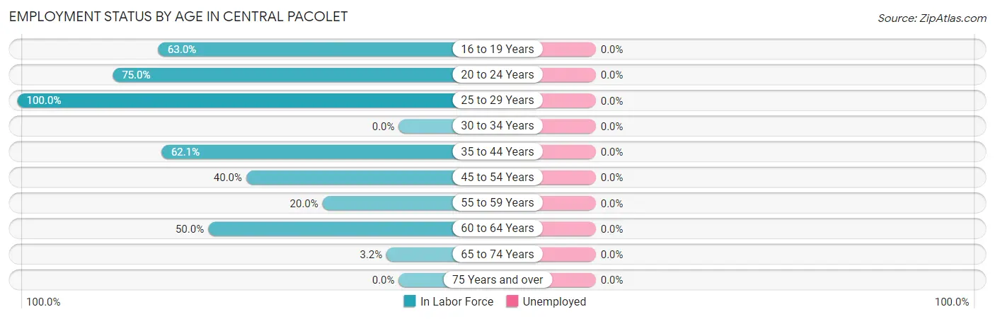 Employment Status by Age in Central Pacolet