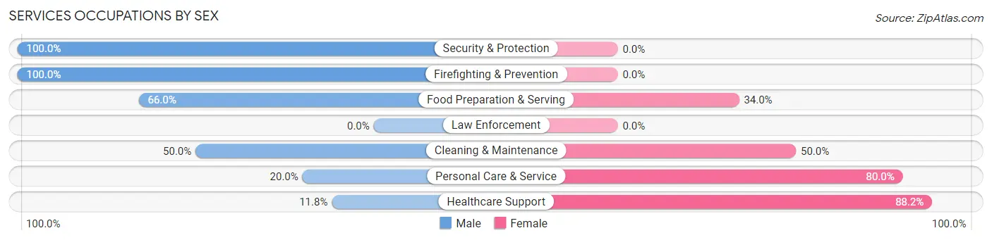 Services Occupations by Sex in Chapin