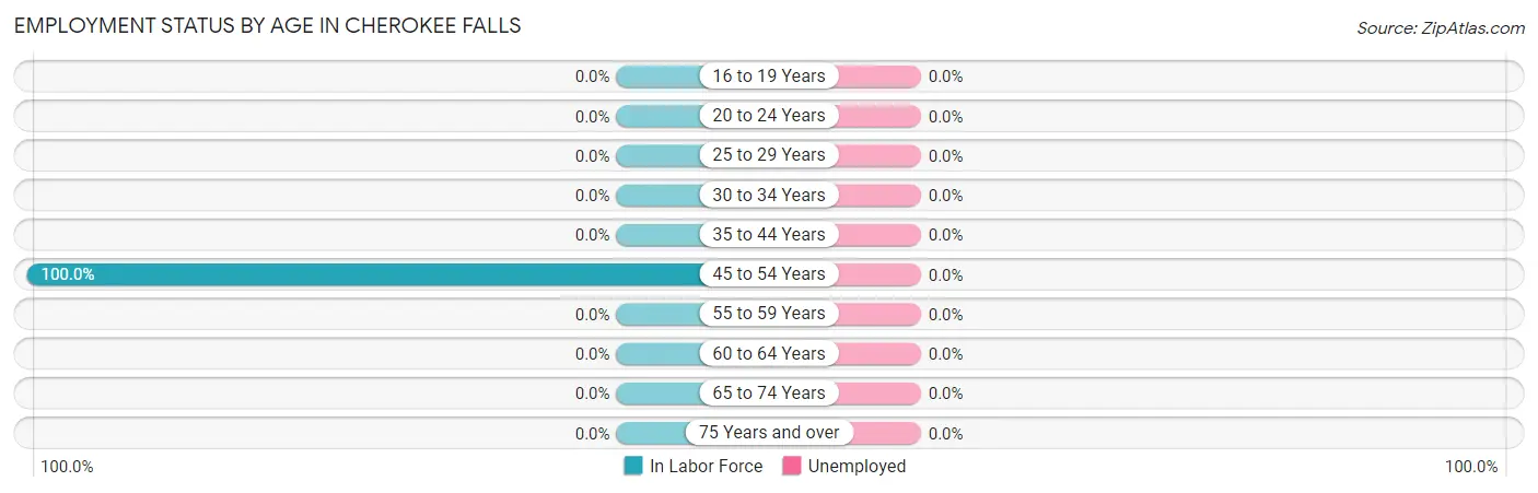 Employment Status by Age in Cherokee Falls