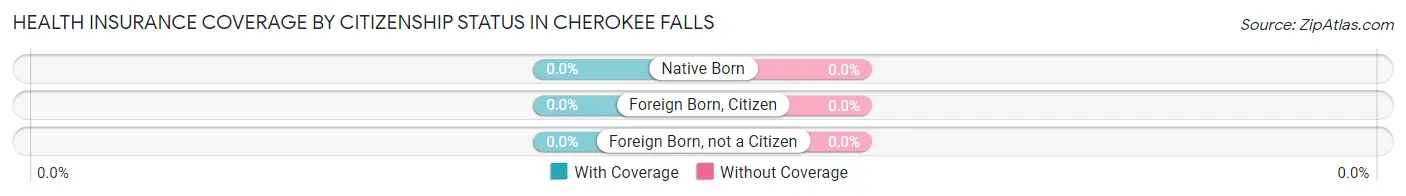 Health Insurance Coverage by Citizenship Status in Cherokee Falls