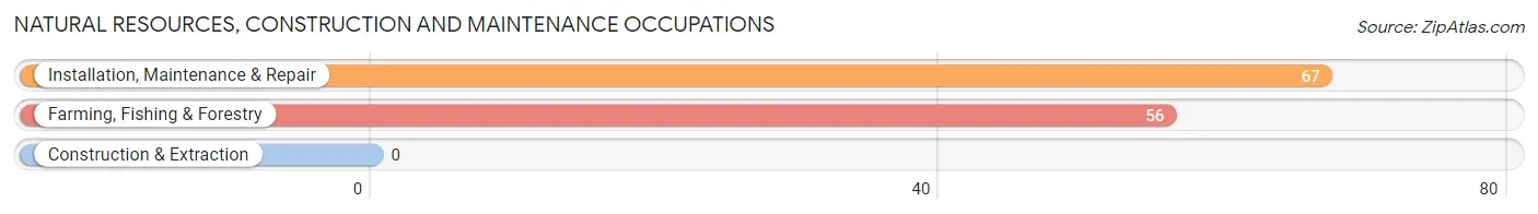 Natural Resources, Construction and Maintenance Occupations in Cherryvale