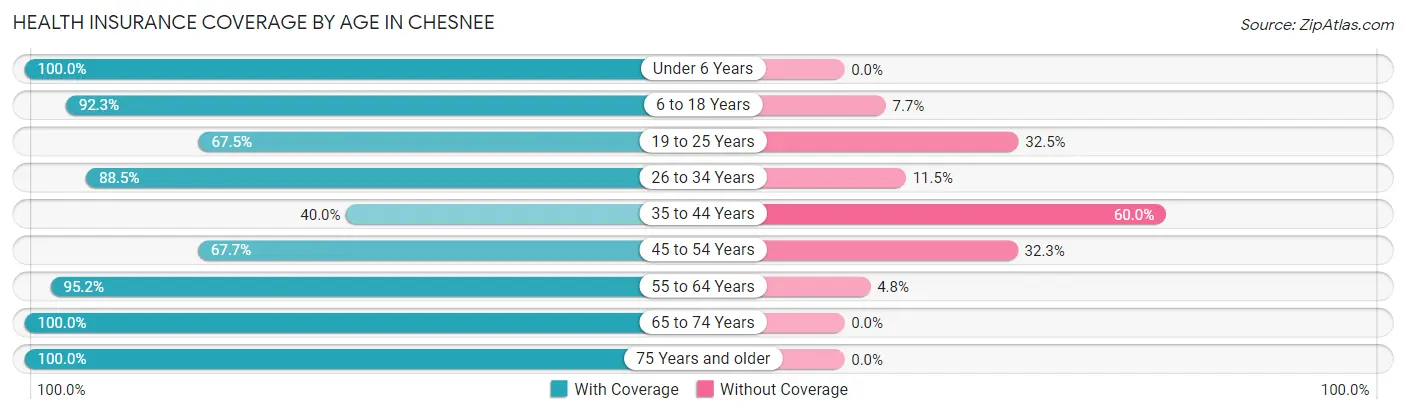 Health Insurance Coverage by Age in Chesnee