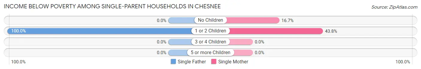 Income Below Poverty Among Single-Parent Households in Chesnee
