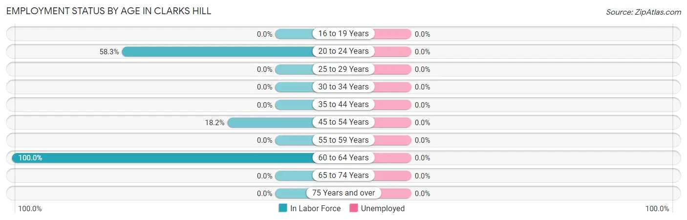 Employment Status by Age in Clarks Hill