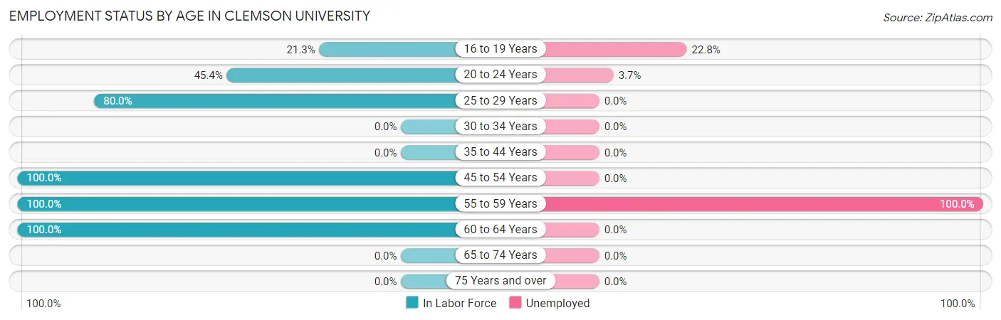 Employment Status by Age in Clemson University