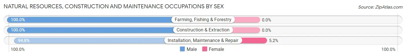 Natural Resources, Construction and Maintenance Occupations by Sex in Clemson