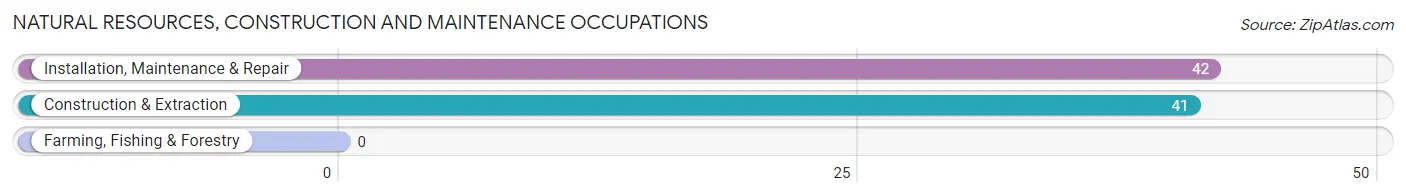 Natural Resources, Construction and Maintenance Occupations in Clinton