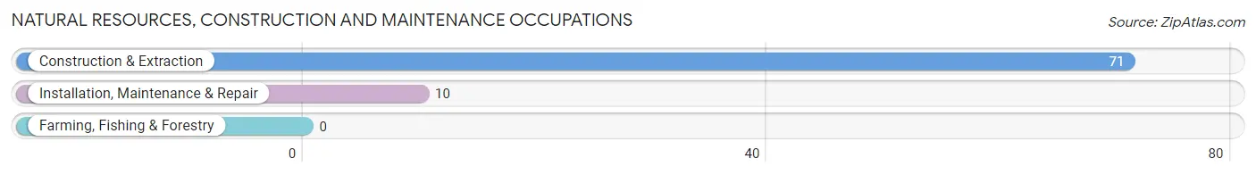 Natural Resources, Construction and Maintenance Occupations in Cottageville