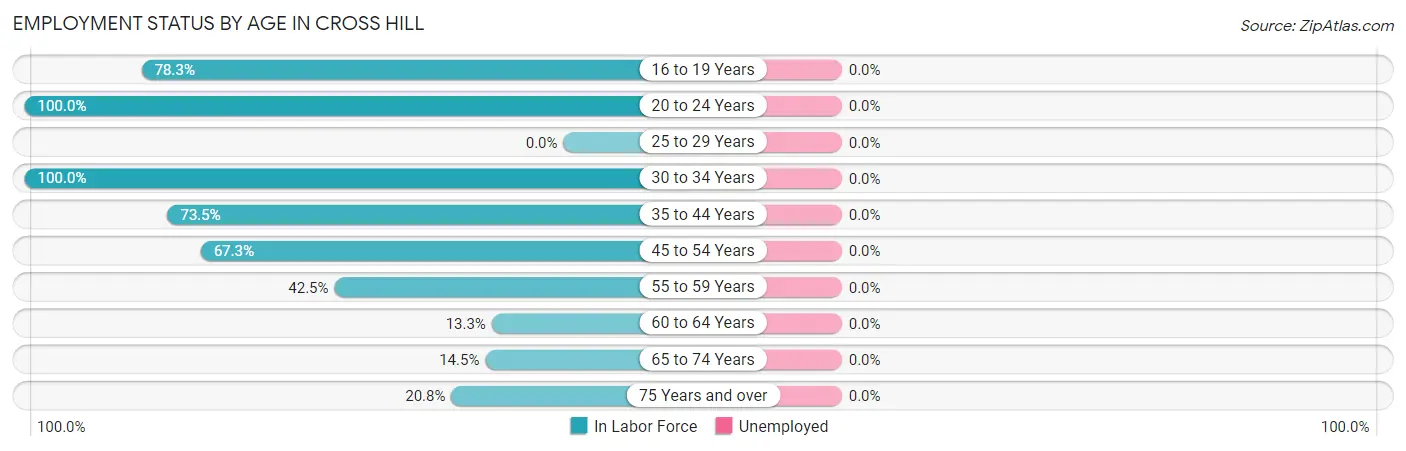 Employment Status by Age in Cross Hill