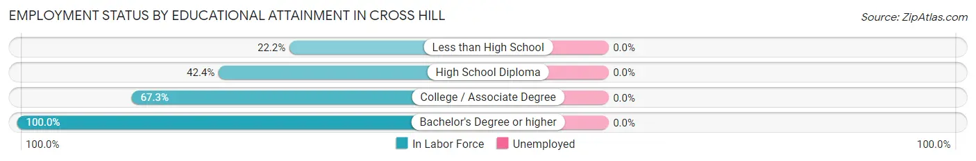 Employment Status by Educational Attainment in Cross Hill