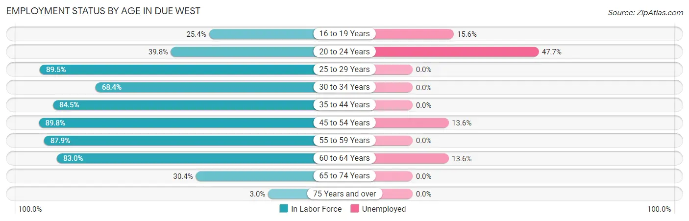 Employment Status by Age in Due West