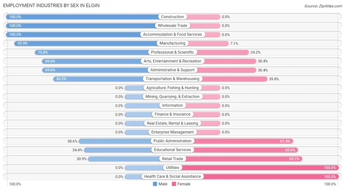 Employment Industries by Sex in Elgin