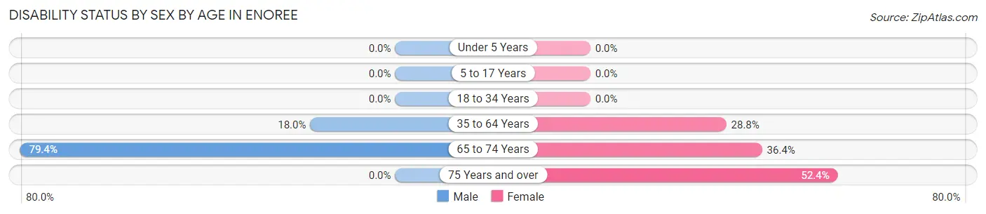 Disability Status by Sex by Age in Enoree