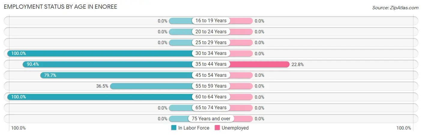 Employment Status by Age in Enoree