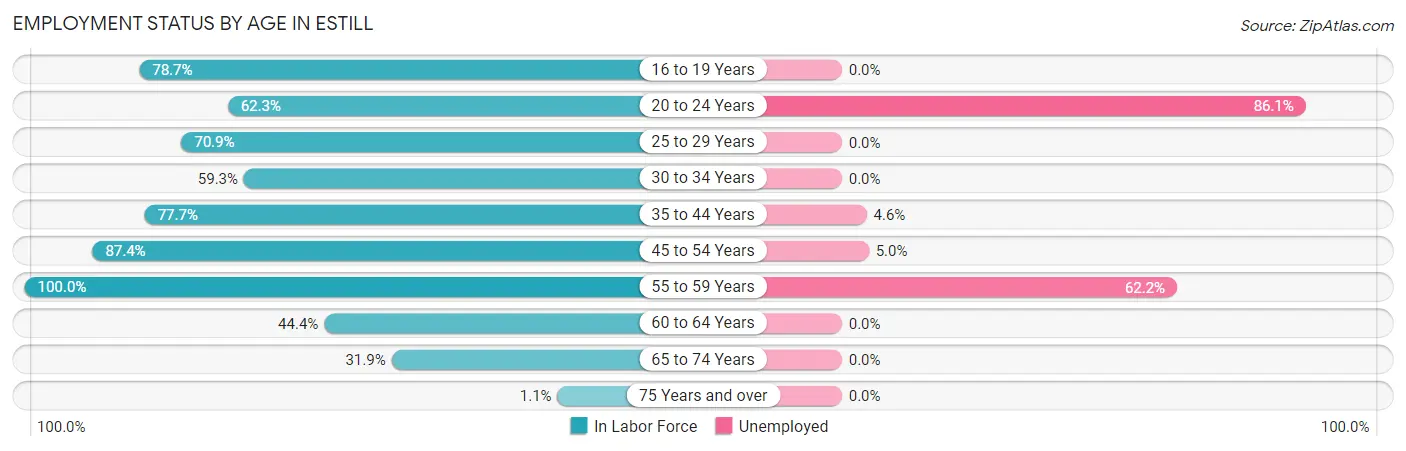 Employment Status by Age in Estill
