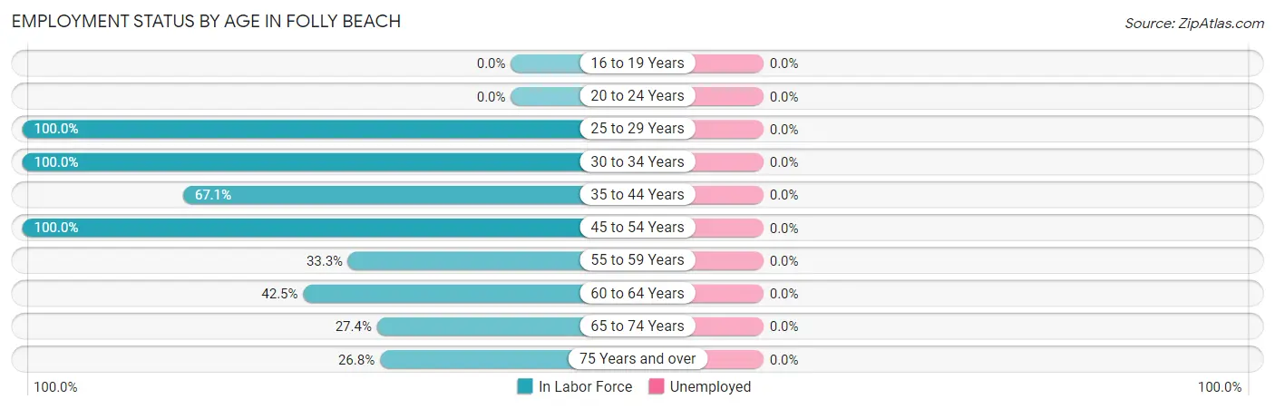 Employment Status by Age in Folly Beach