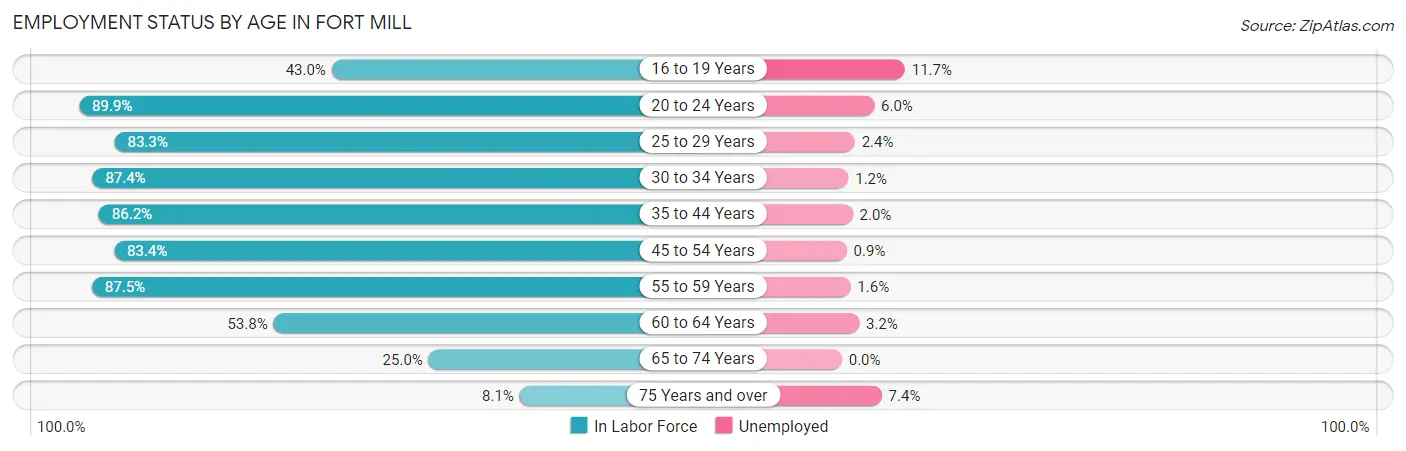 Employment Status by Age in Fort Mill