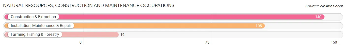 Natural Resources, Construction and Maintenance Occupations in Fountain Inn