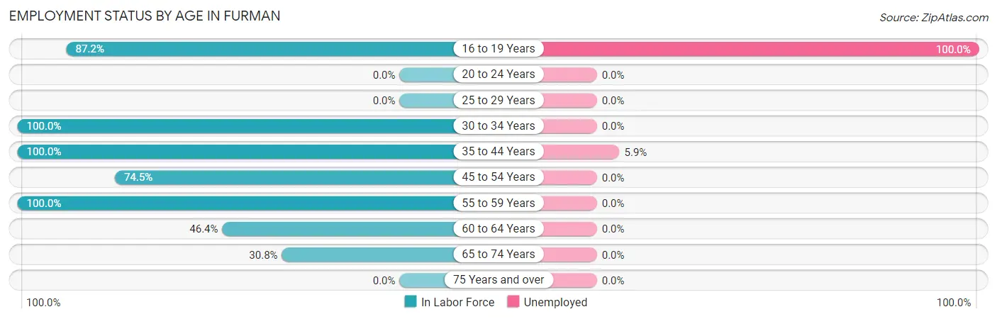 Employment Status by Age in Furman