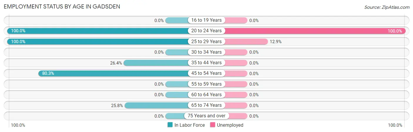 Employment Status by Age in Gadsden