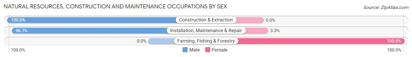Natural Resources, Construction and Maintenance Occupations by Sex in Gaston