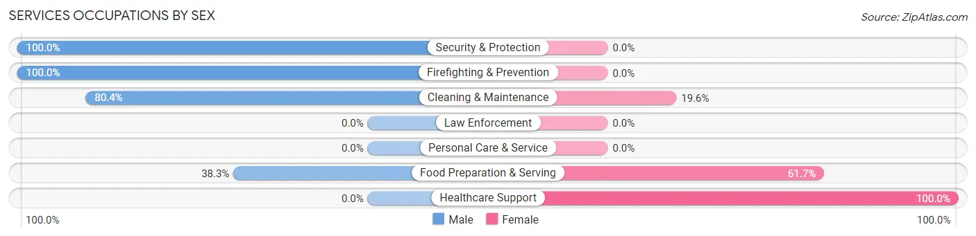 Services Occupations by Sex in Gaston