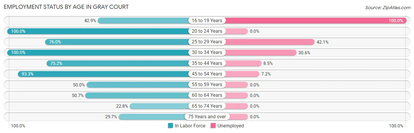 Employment Status by Age in Gray Court