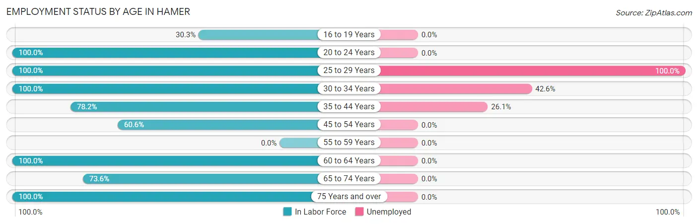 Employment Status by Age in Hamer
