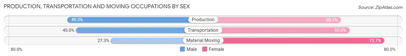 Production, Transportation and Moving Occupations by Sex in Hampton