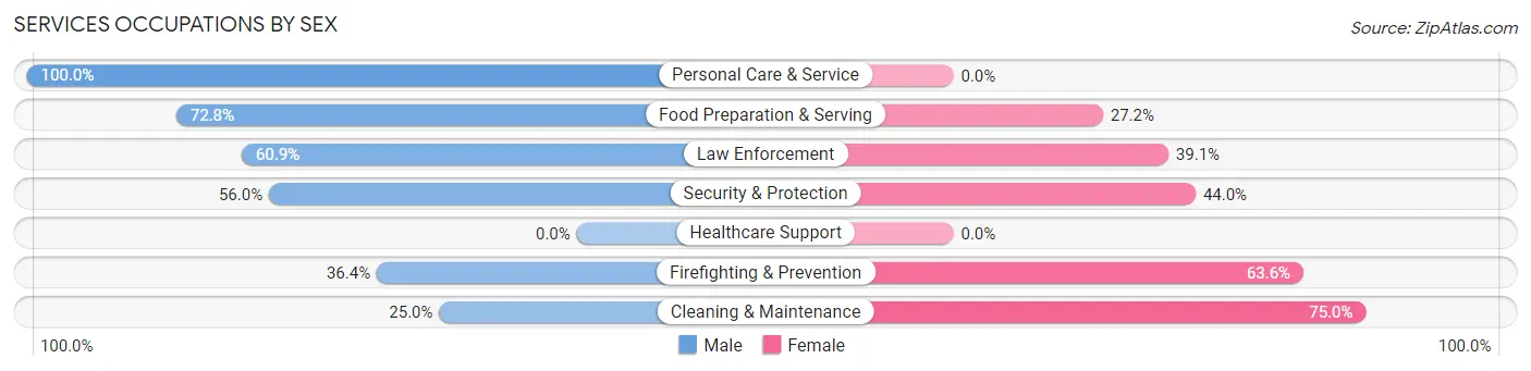 Services Occupations by Sex in Hampton