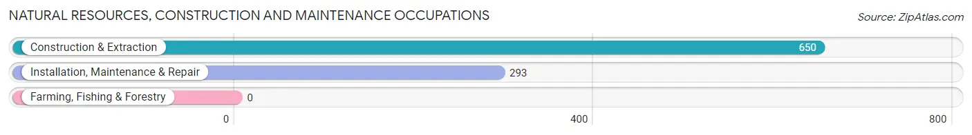 Natural Resources, Construction and Maintenance Occupations in Hanahan