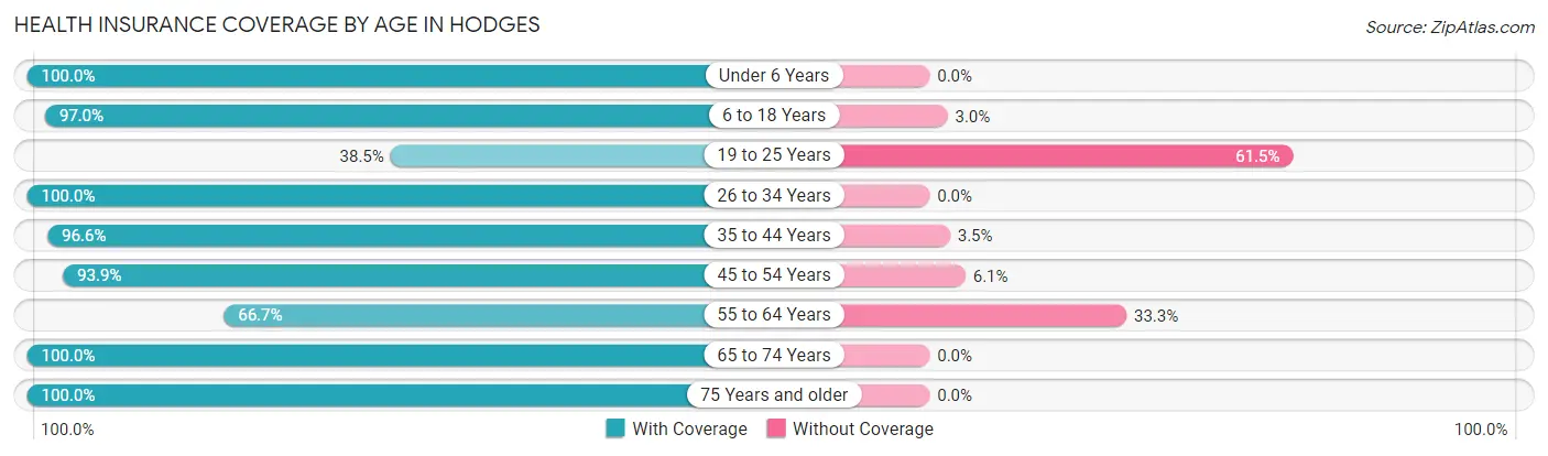 Health Insurance Coverage by Age in Hodges