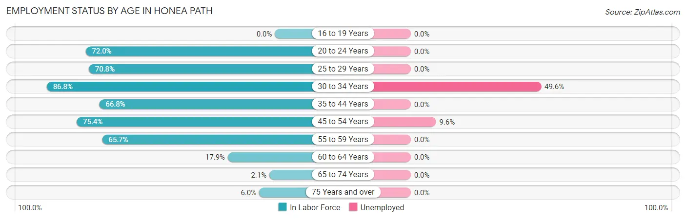Employment Status by Age in Honea Path