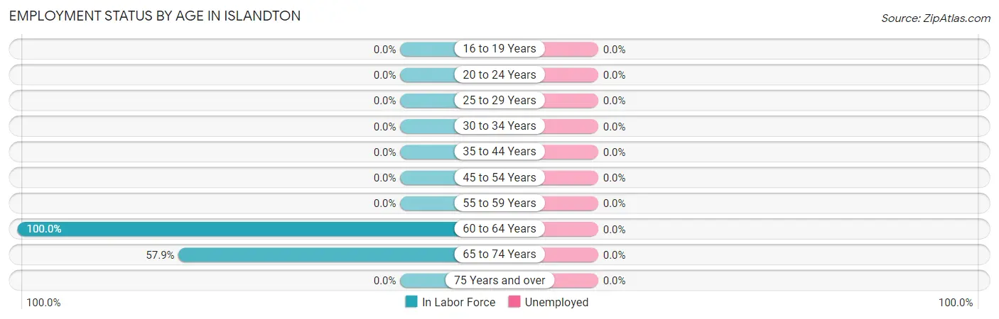 Employment Status by Age in Islandton