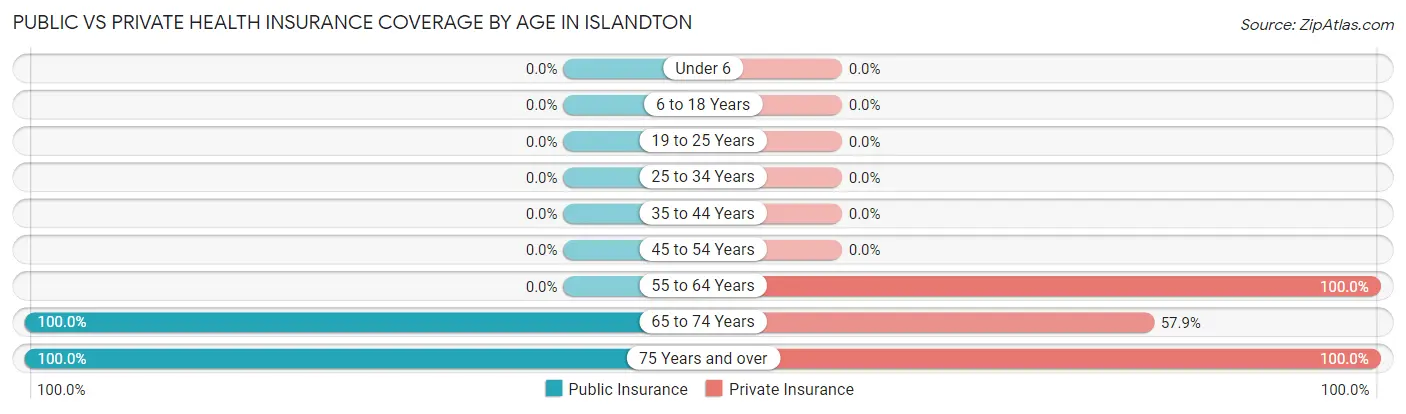 Public vs Private Health Insurance Coverage by Age in Islandton