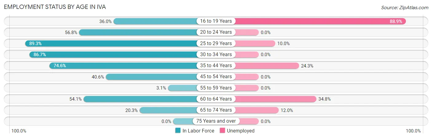 Employment Status by Age in Iva