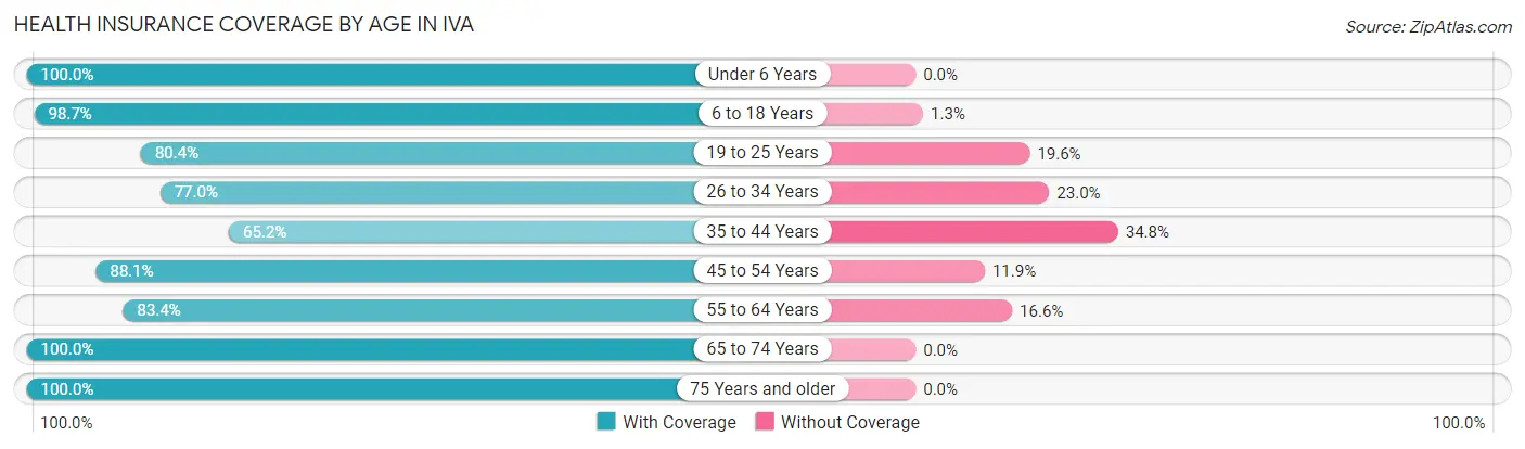 Health Insurance Coverage by Age in Iva