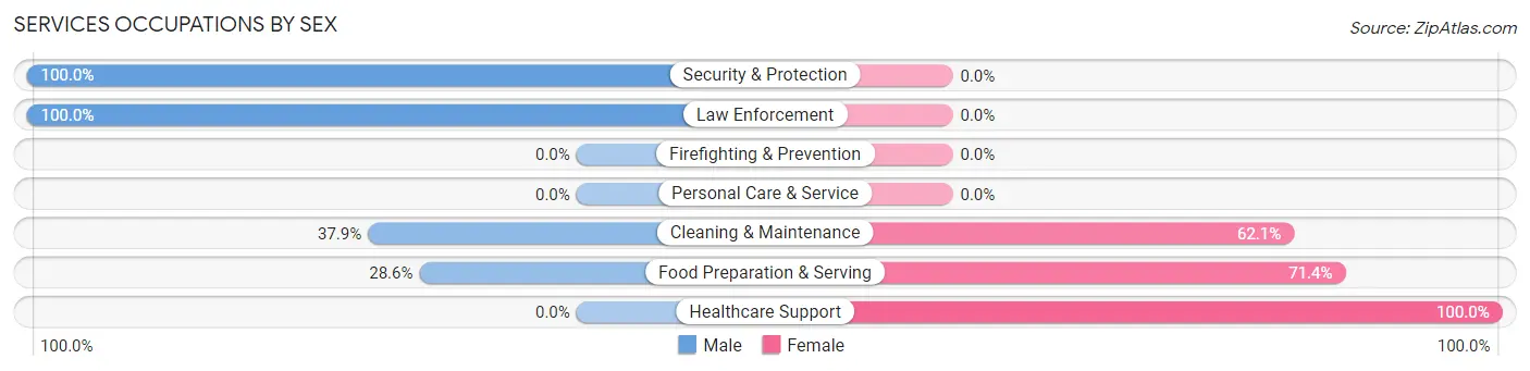 Services Occupations by Sex in Iva