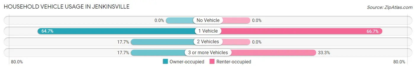 Household Vehicle Usage in Jenkinsville