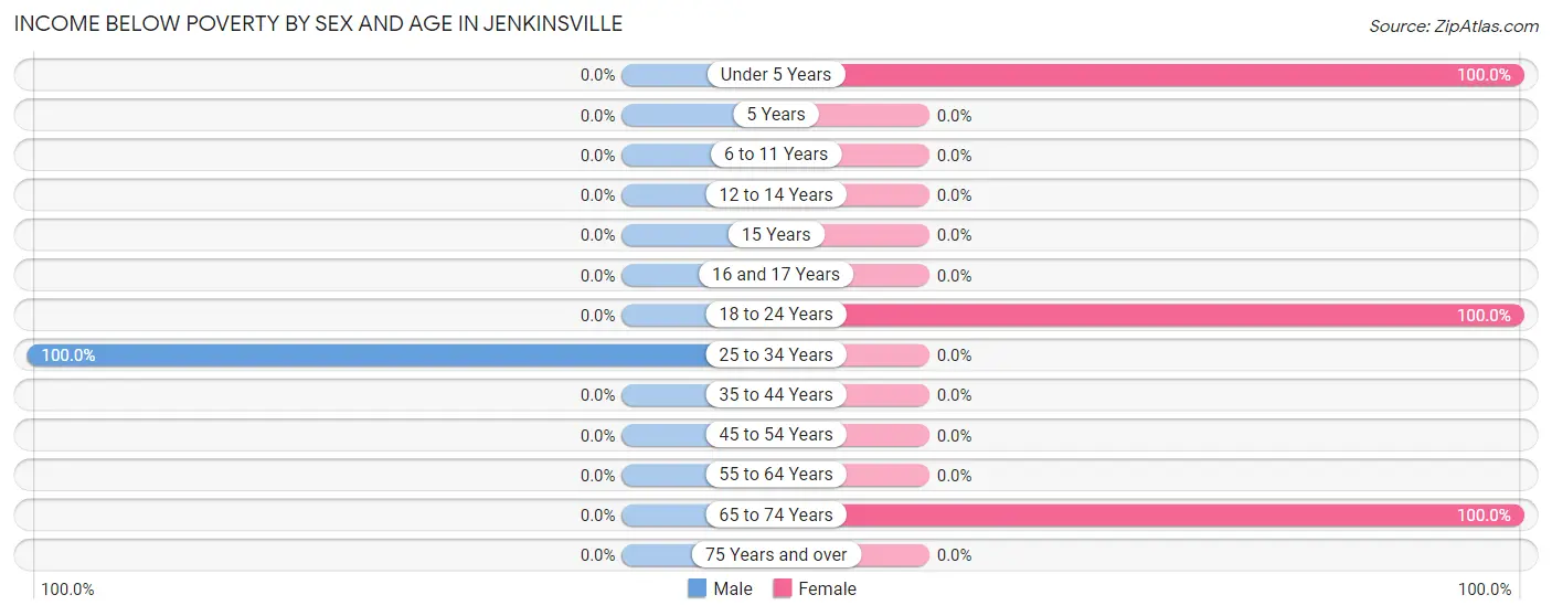 Income Below Poverty by Sex and Age in Jenkinsville