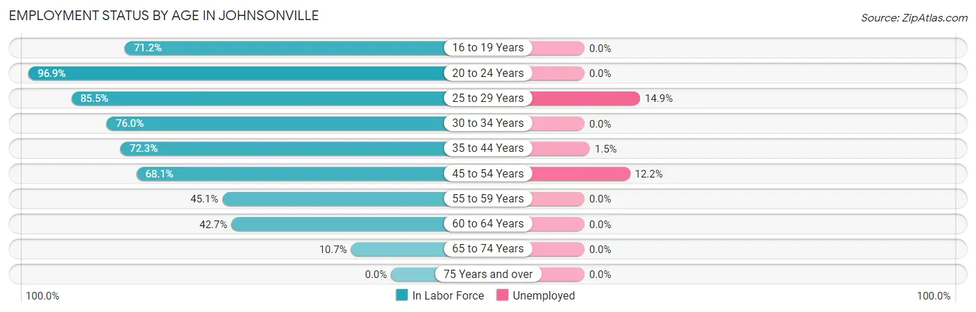 Employment Status by Age in Johnsonville