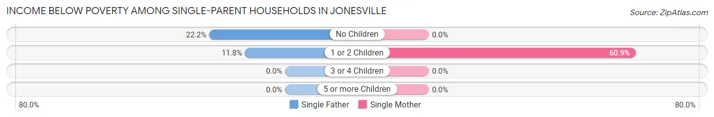 Income Below Poverty Among Single-Parent Households in Jonesville