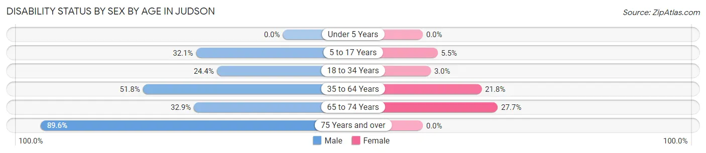 Disability Status by Sex by Age in Judson