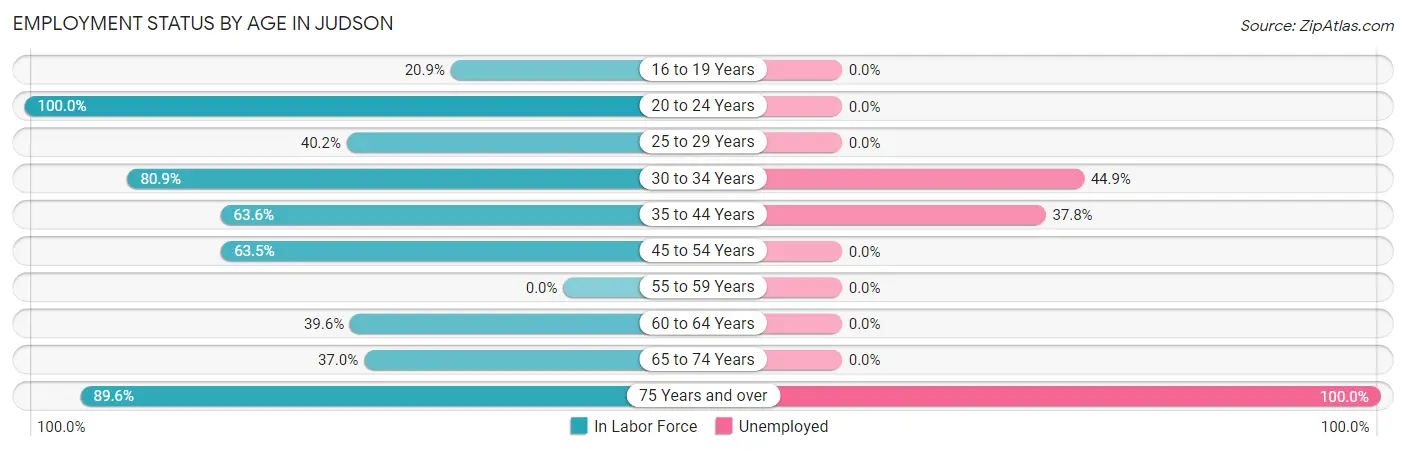 Employment Status by Age in Judson