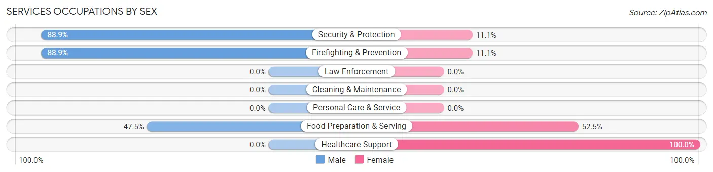 Services Occupations by Sex in Judson